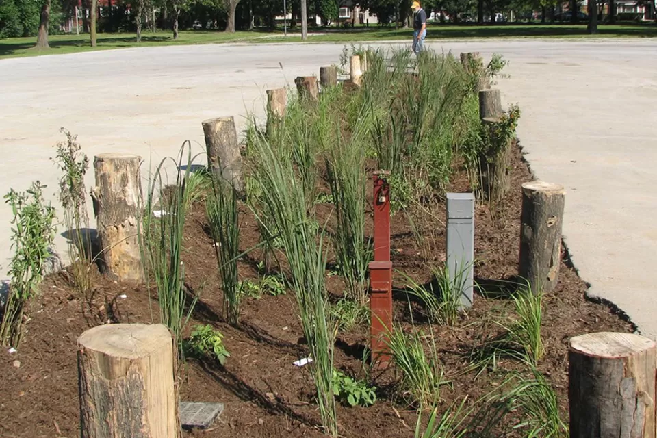 Bioswale